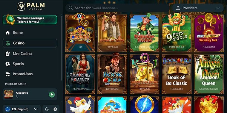 Imagem do site Palm.Casino